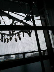 thanksgiving days to hang out（←旧ときどき日記）-200905070627000.jpg