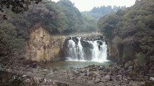 thanksgiving days to hang out（←旧ときどき日記）-201102081339002.jpg