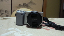 thanksgiving days to hang out（←旧ときどき日記）-201102132050000.jpg