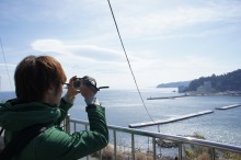 $thanksgiving days to hang out(←旧ときどき日記)