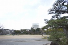 thanksgiving days to hang out(←旧ときどき日記)